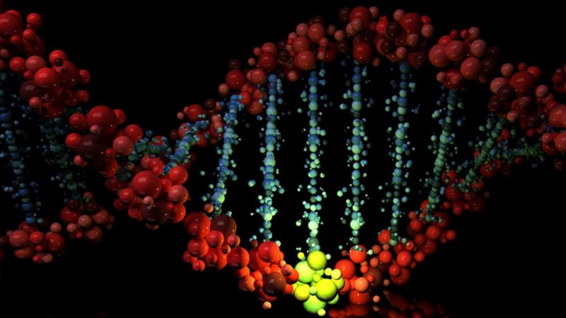 Cours 3 : Variabilité génétique et mutation de l’ADN.