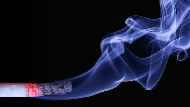 Cours 2 : Variations génétiques et environnement, deux causes de facteurs de risque