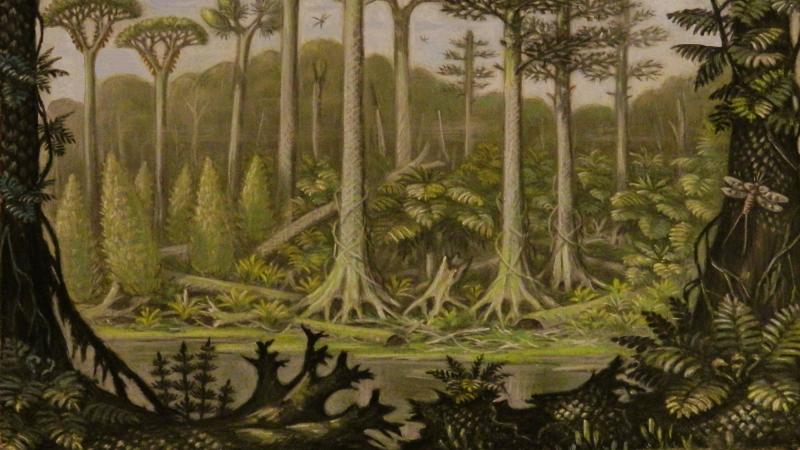Cours 2 : Les variations climatiques anciennes (> 1 Ma)
